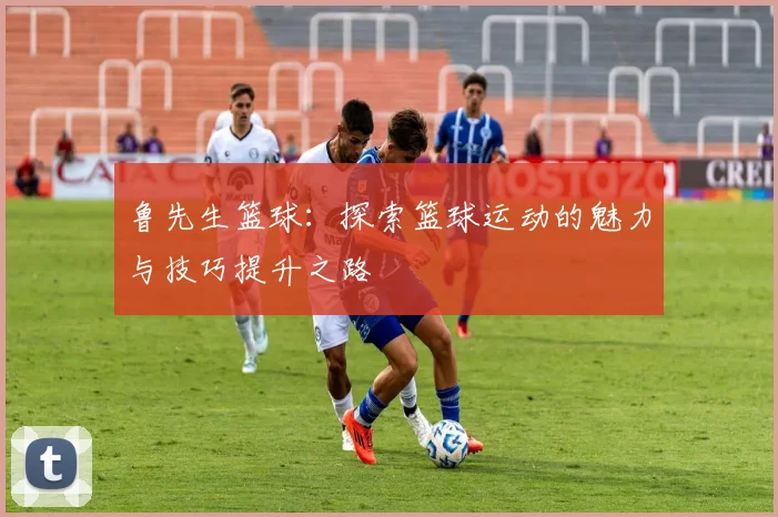 鲁先生篮球：探索篮球运动的魅力与技巧提升之路